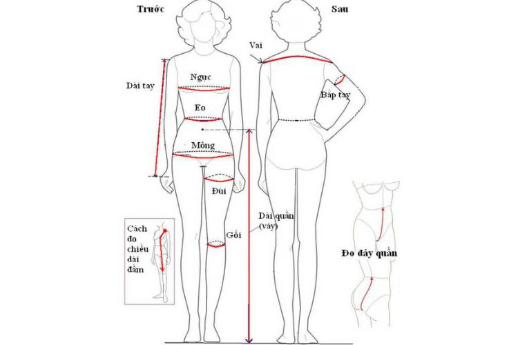 Hướng dẫn cách đo số đo của cơ thể